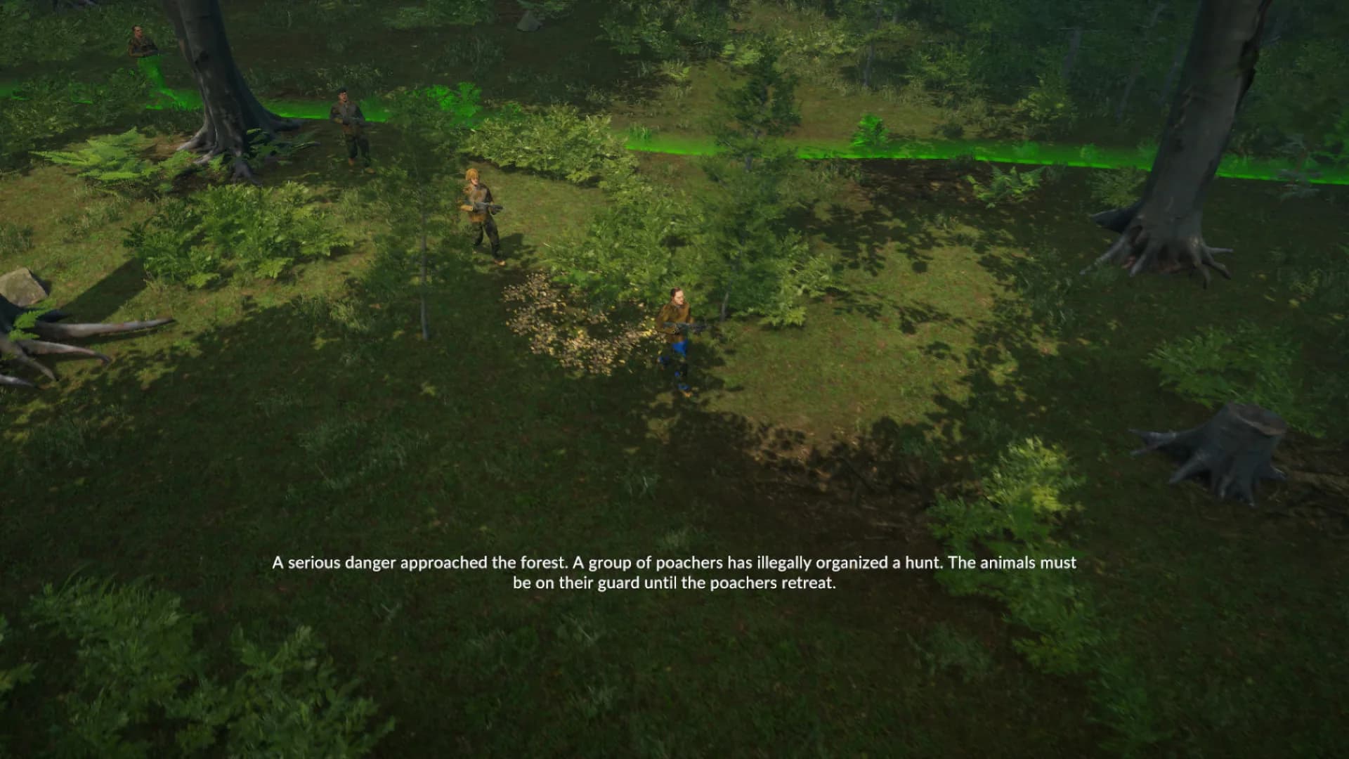 Natural Instincts: European Forest görsel 6