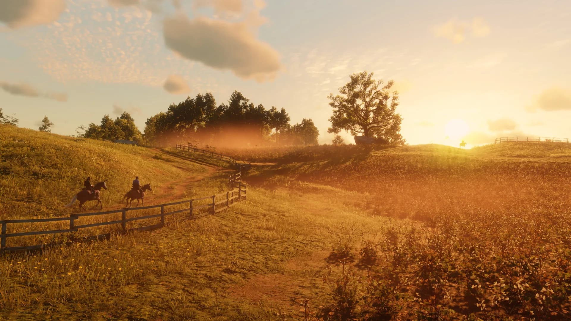 Red Dead Redemption 2 görsel 6