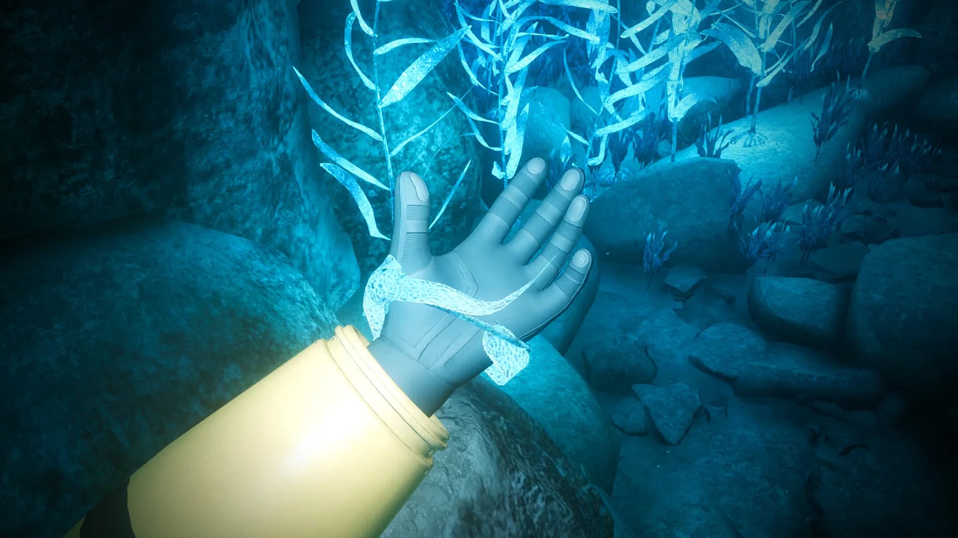 Biolum görsel 2