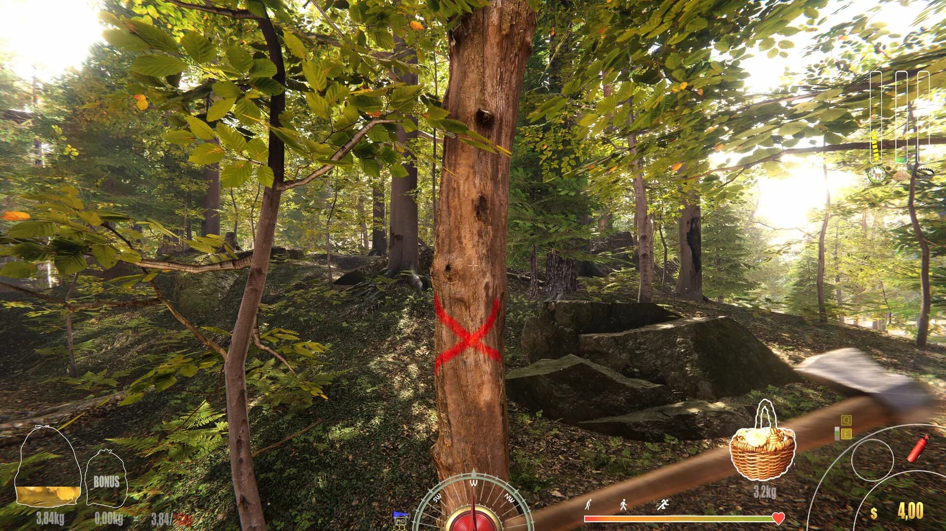 Forest Ranger Simulator görsel 13
