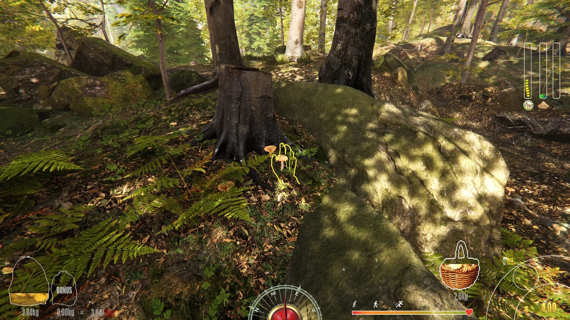 Forest Ranger Simulator görsel 27