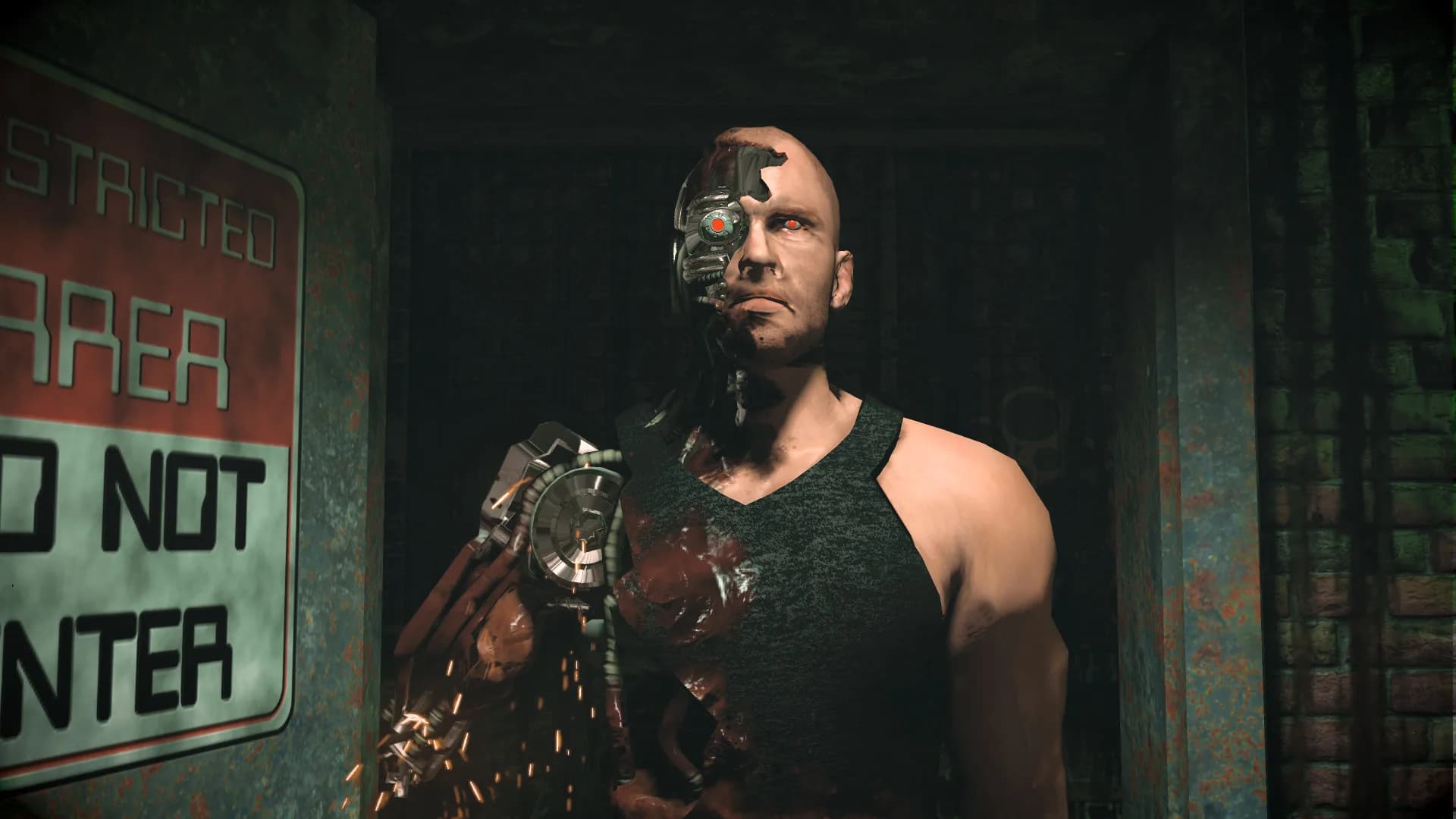 Cyborg Mechanic görsel 2