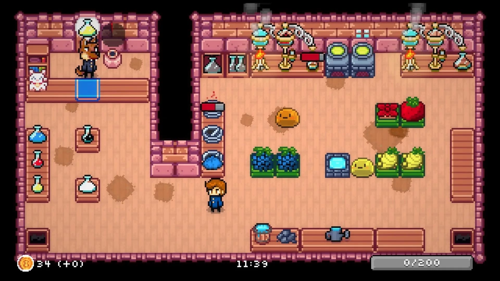 Potion Party görsel 3