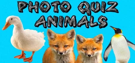 Photo Quiz - Animals görsel 1