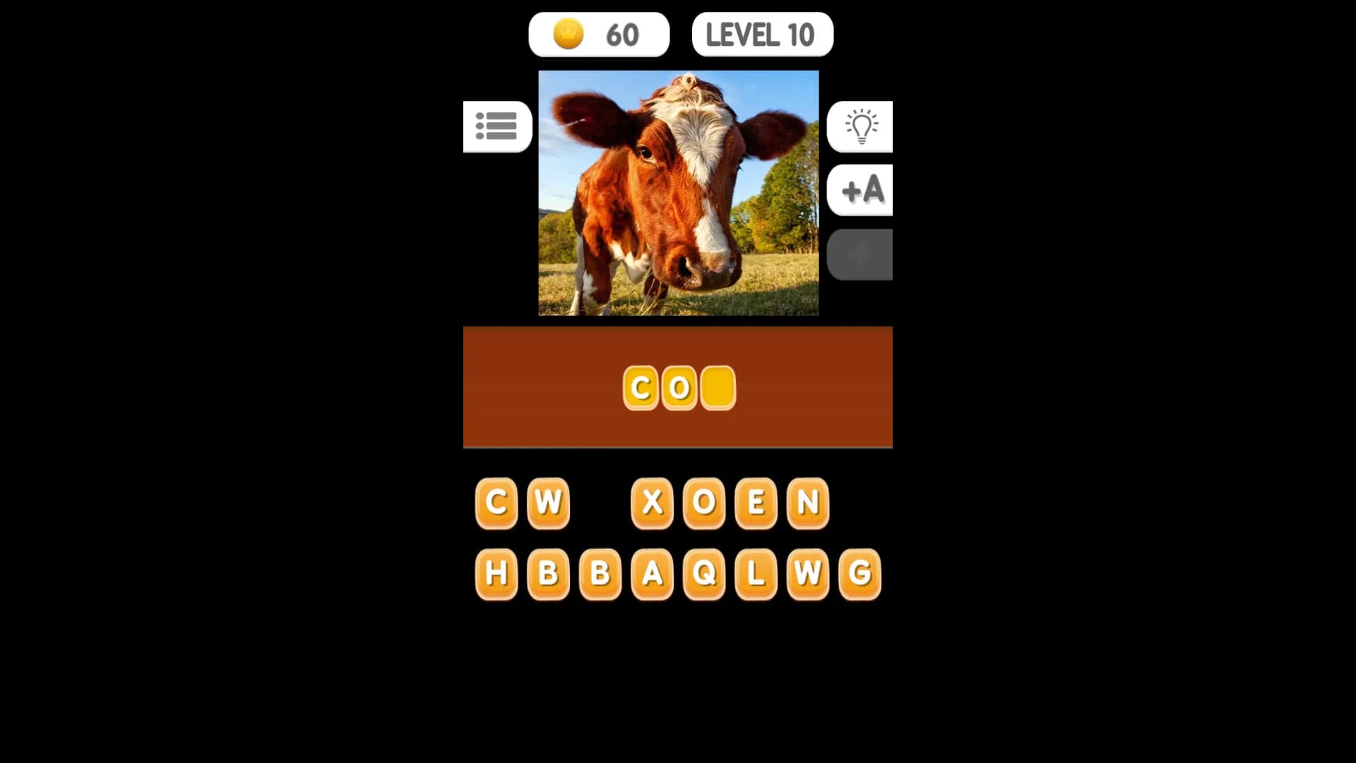Photo Quiz - Animals görsel 3