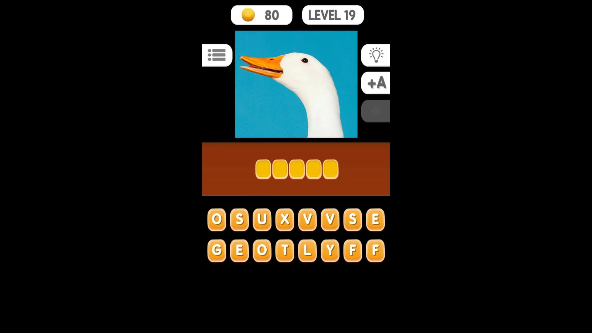 Photo Quiz - Animals görsel 14