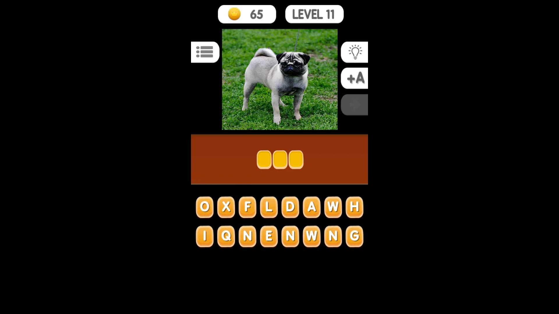 Photo Quiz - Animals görsel 6