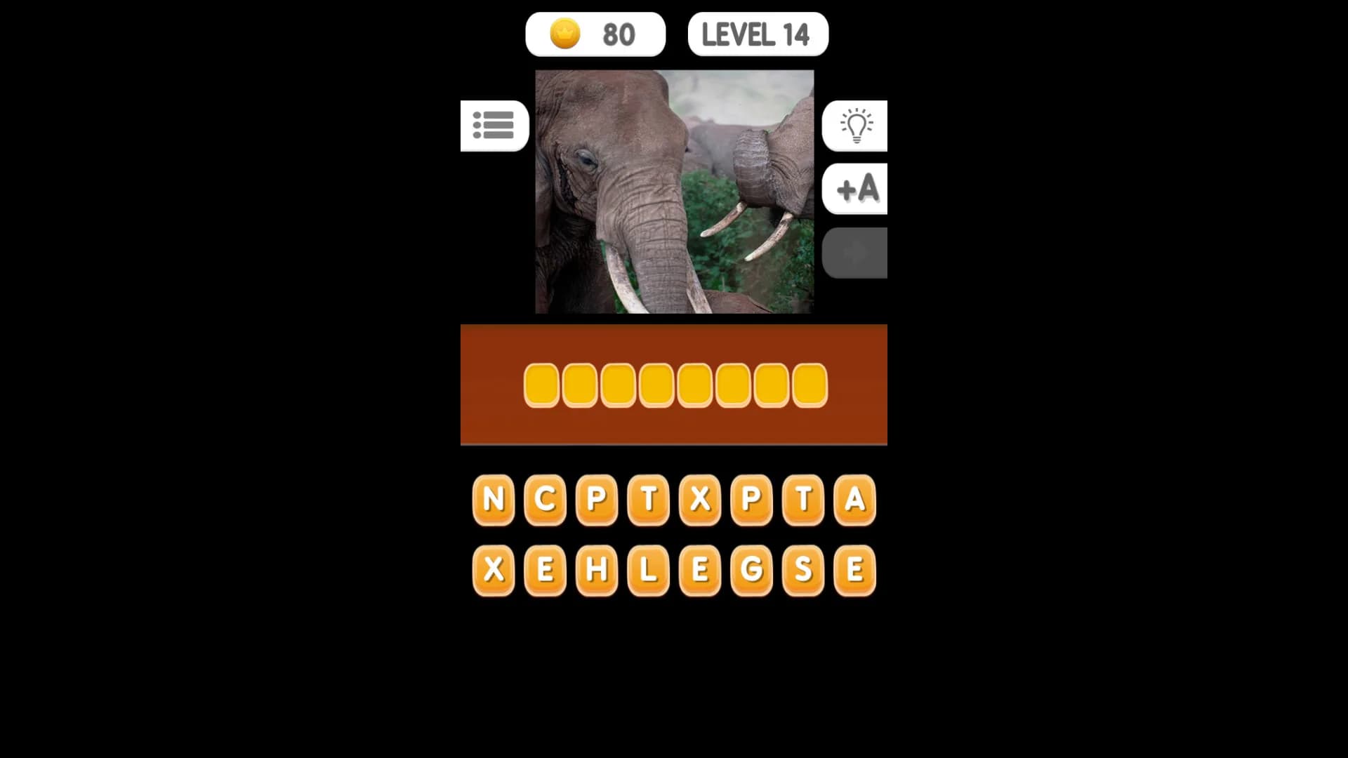 Photo Quiz - Animals görsel 9