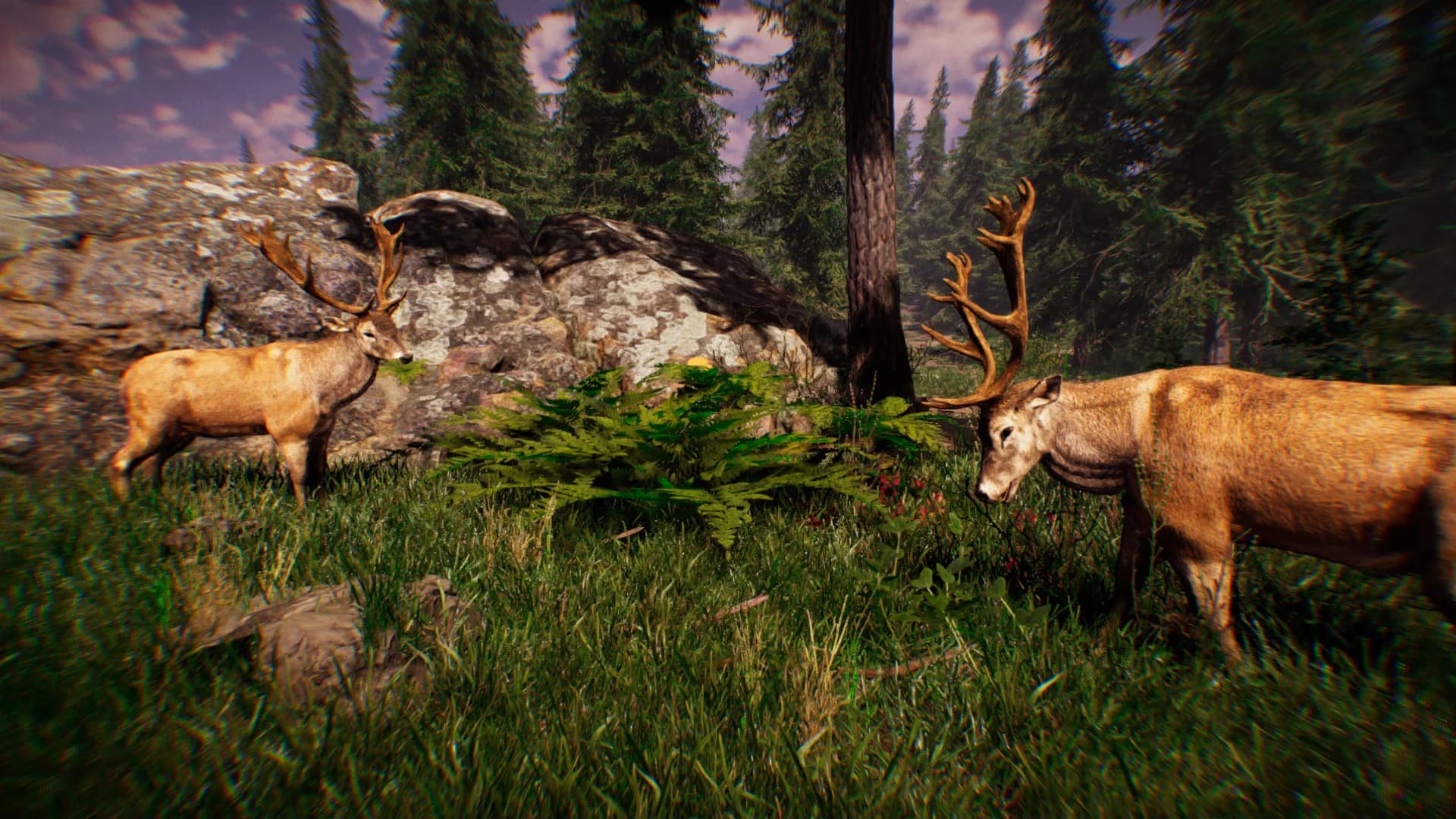 Primitive Hunter görsel 4