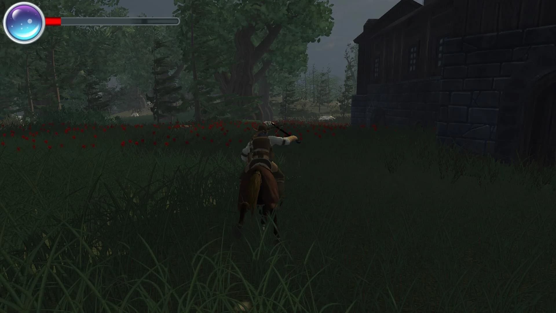 Cowboy görsel 5