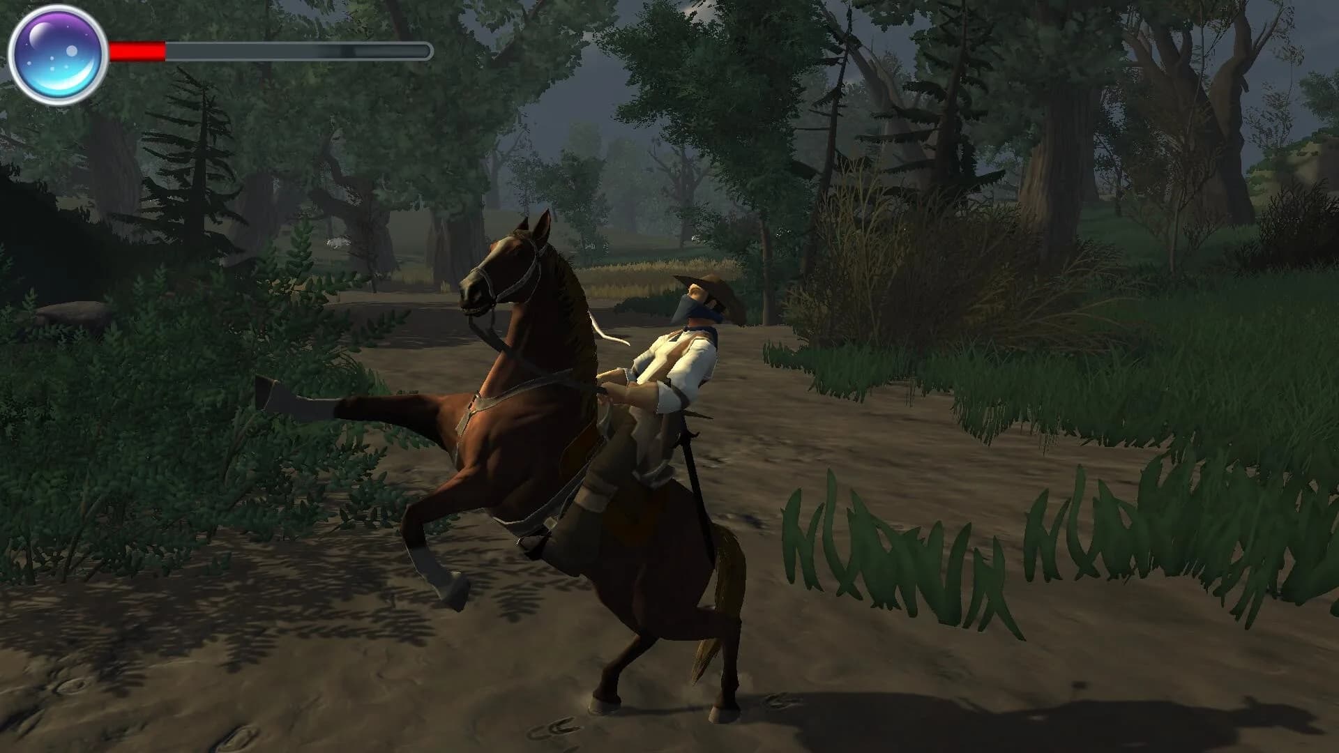 Cowboy görsel 9