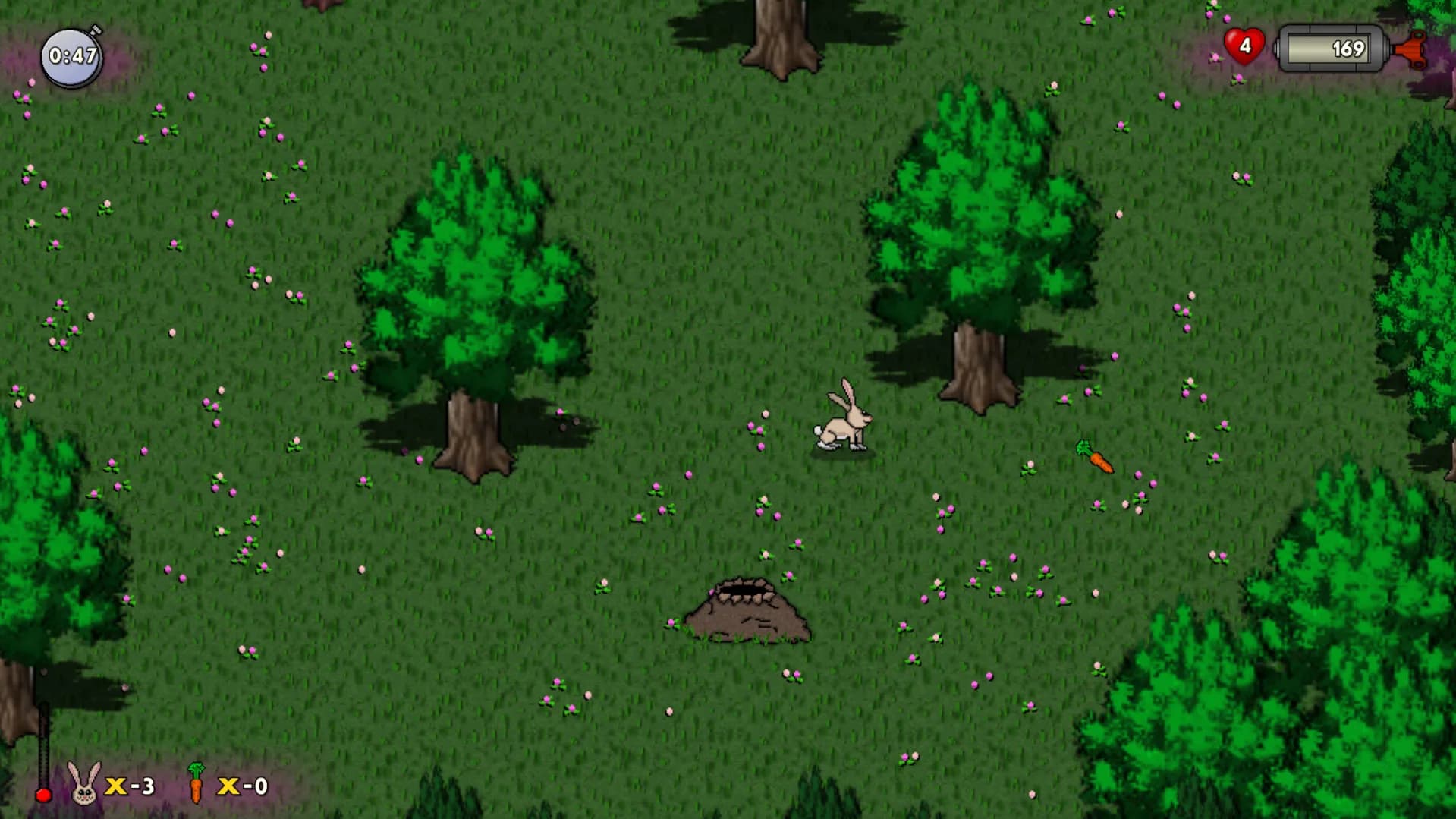 RUN HARE RUN görsel 2