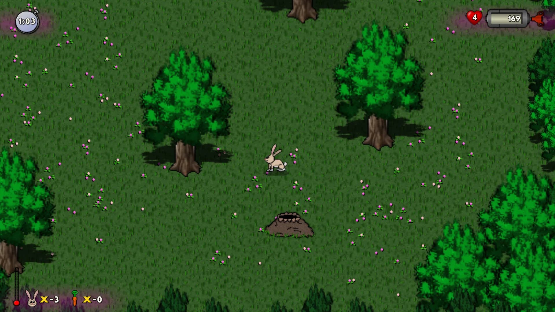 RUN HARE RUN görsel 3
