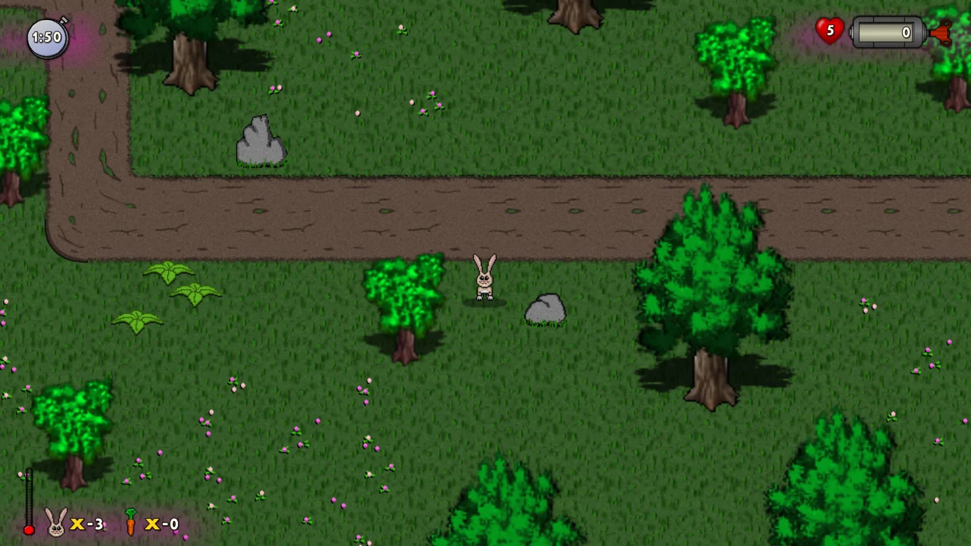 RUN HARE RUN görsel 5