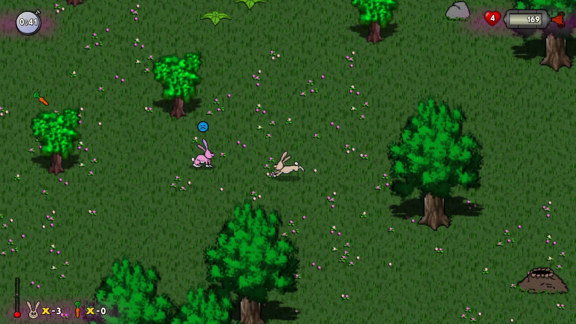 RUN HARE RUN görsel 6