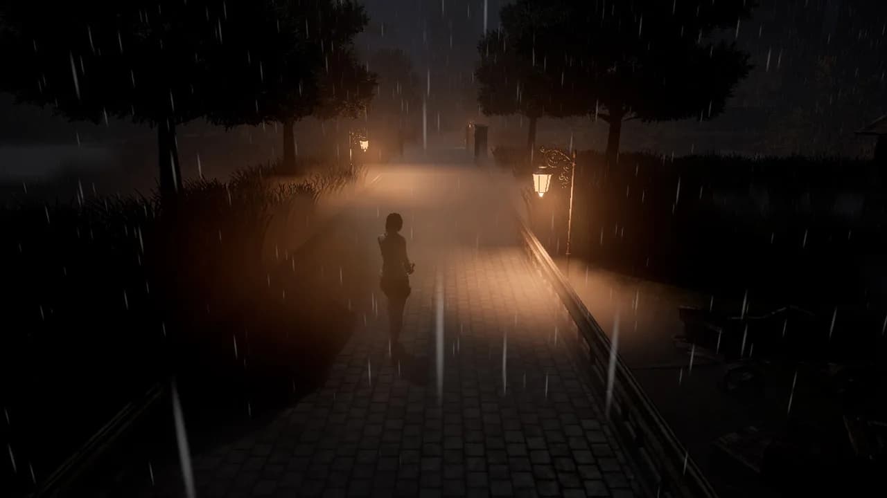 Rainy Night görsel 5