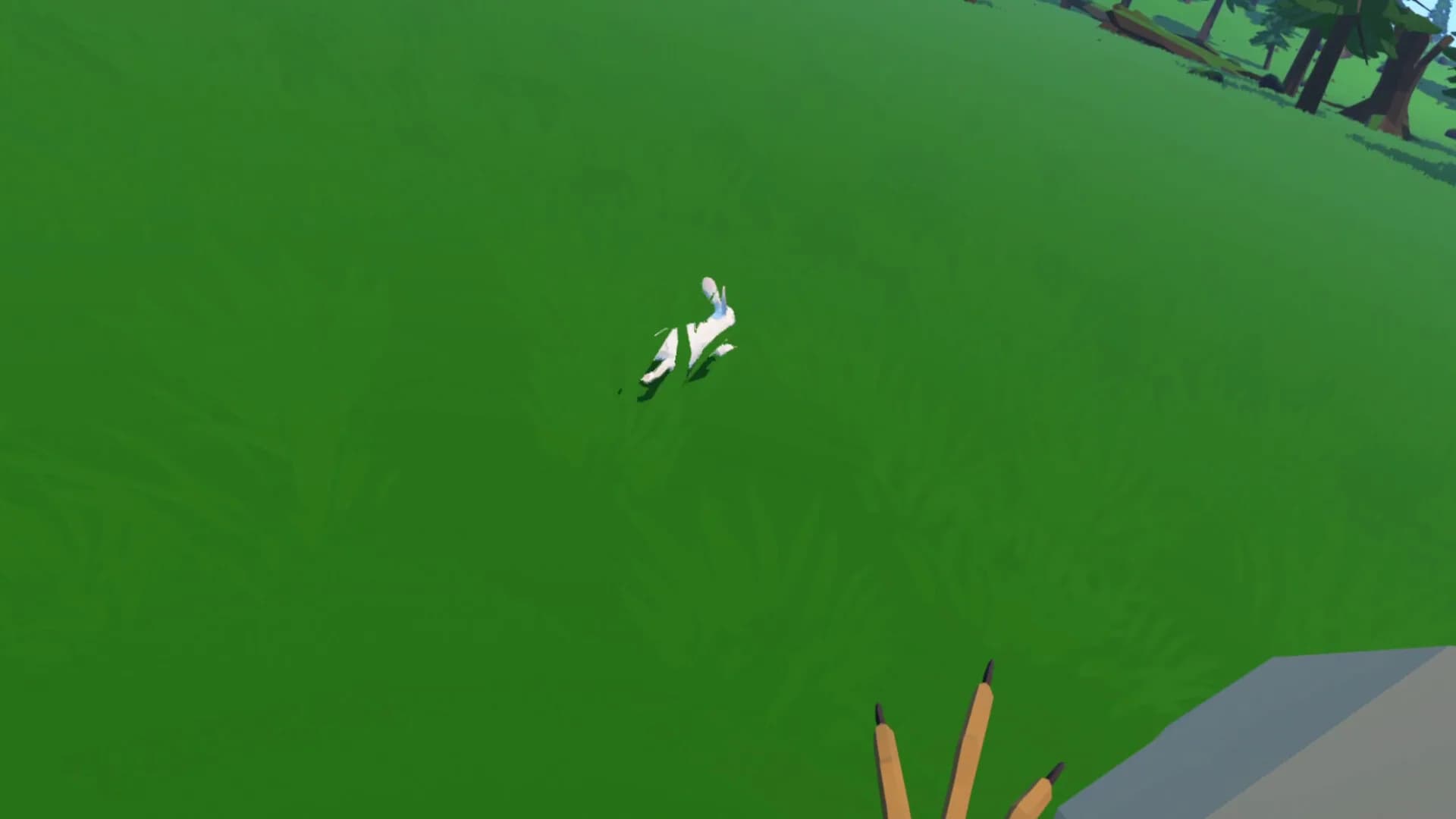 You Are a Bird görsel 6