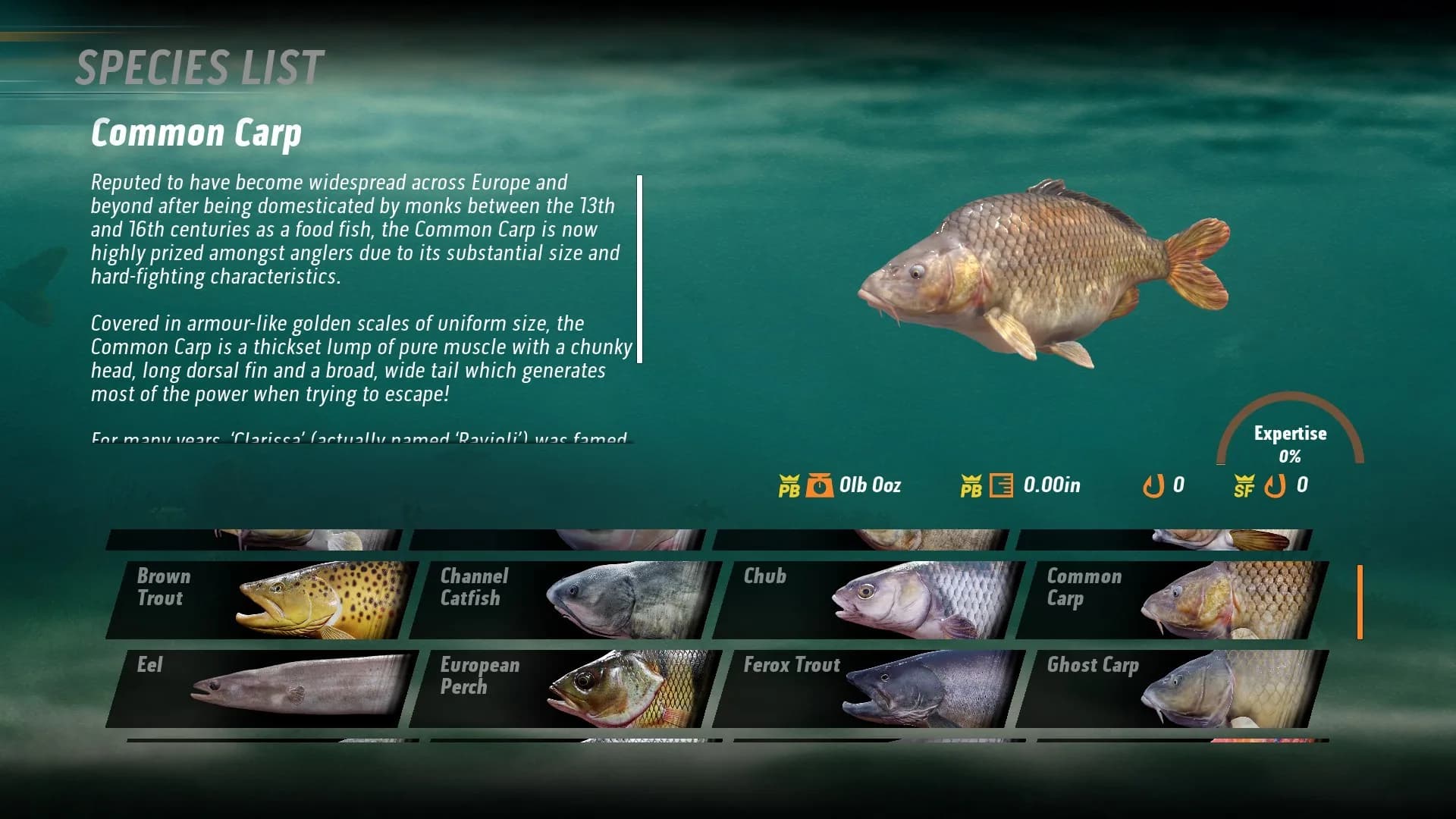 The Catch: Carp & Coarse Fishing görsel 4