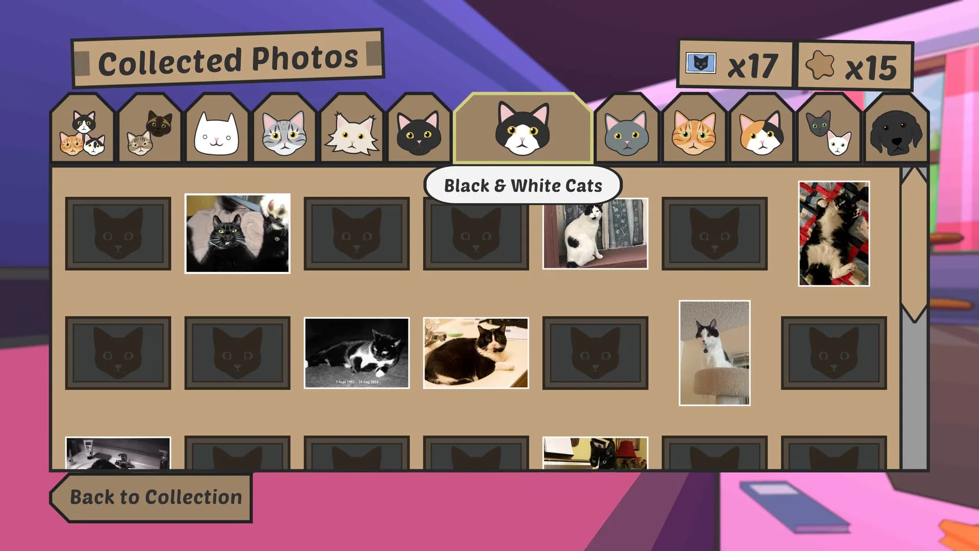 Catlateral Damage: Remeowstered görsel 13