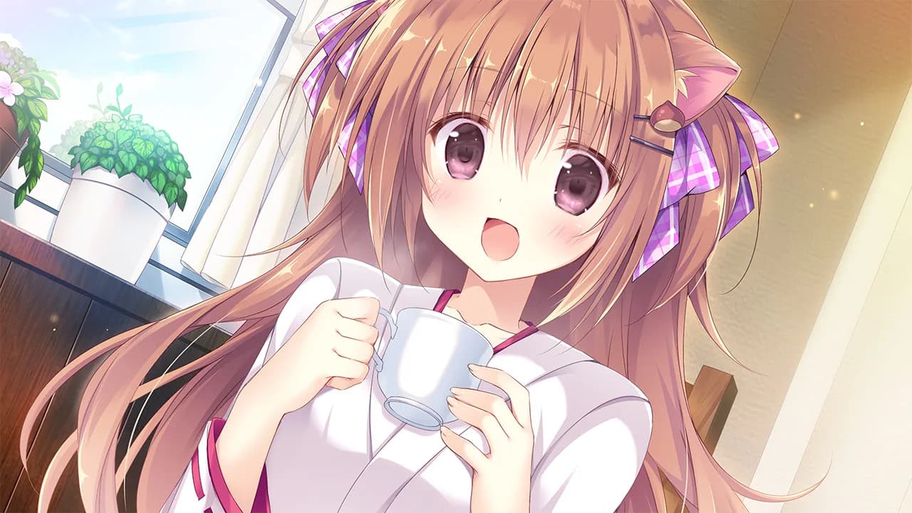 Amairo Chocolate görsel 2