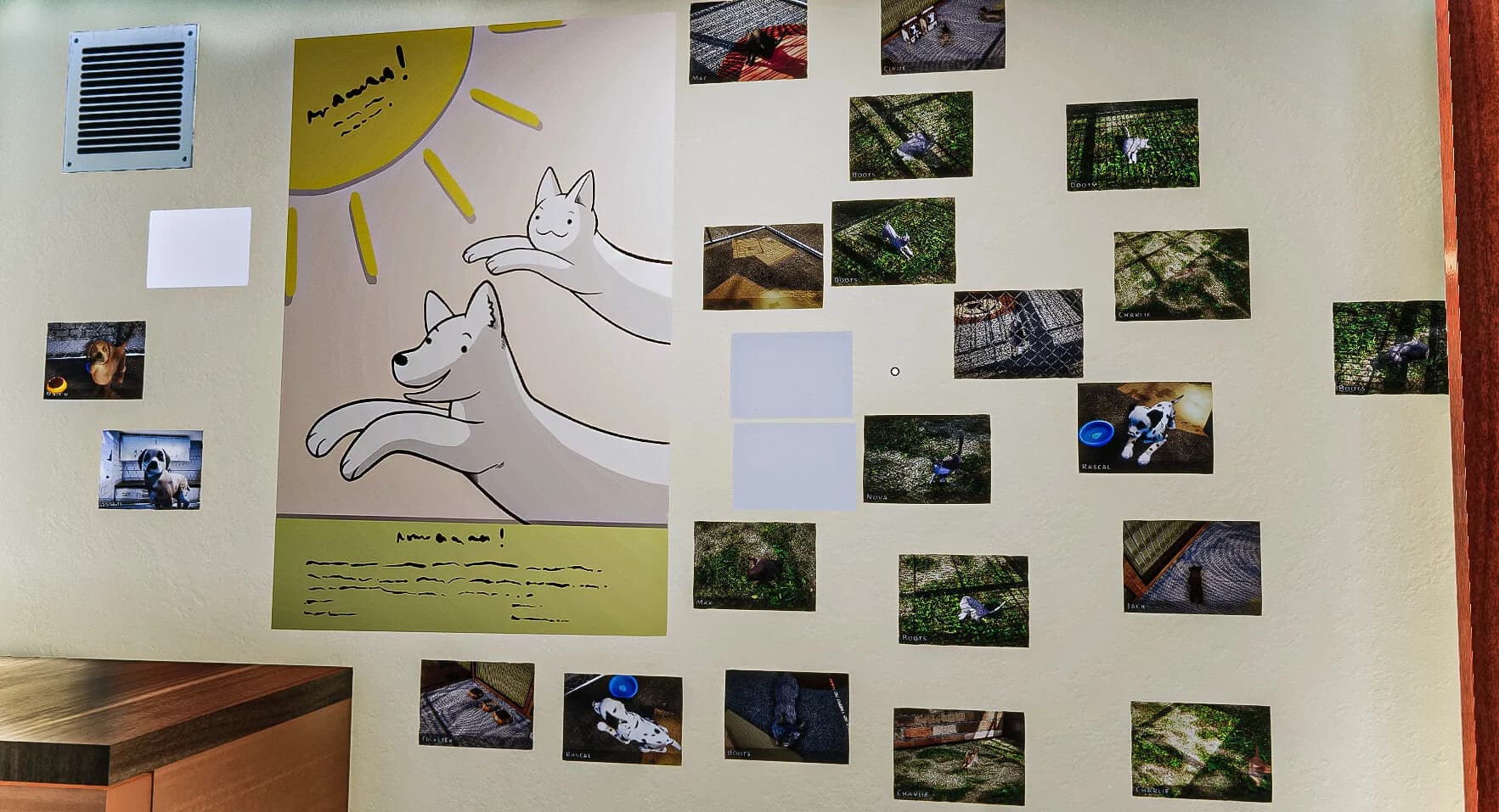 Animal Shelter görsel 19