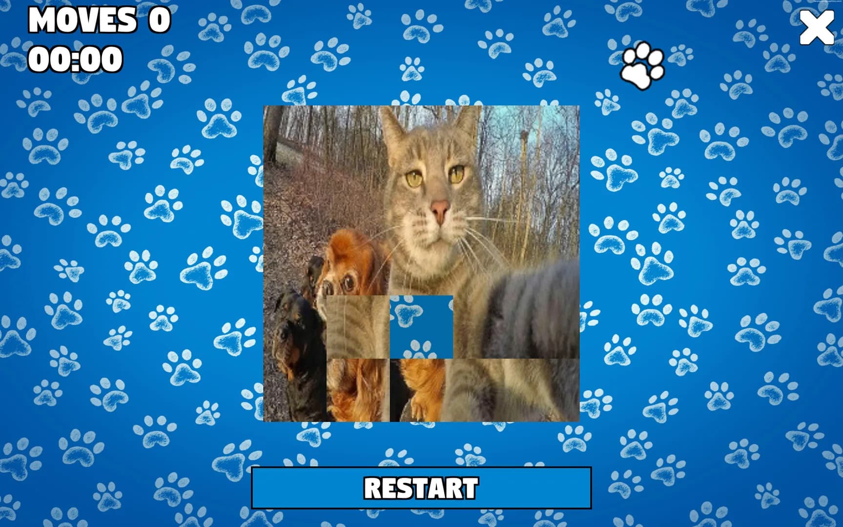 CatDog Puzzle görsel 3