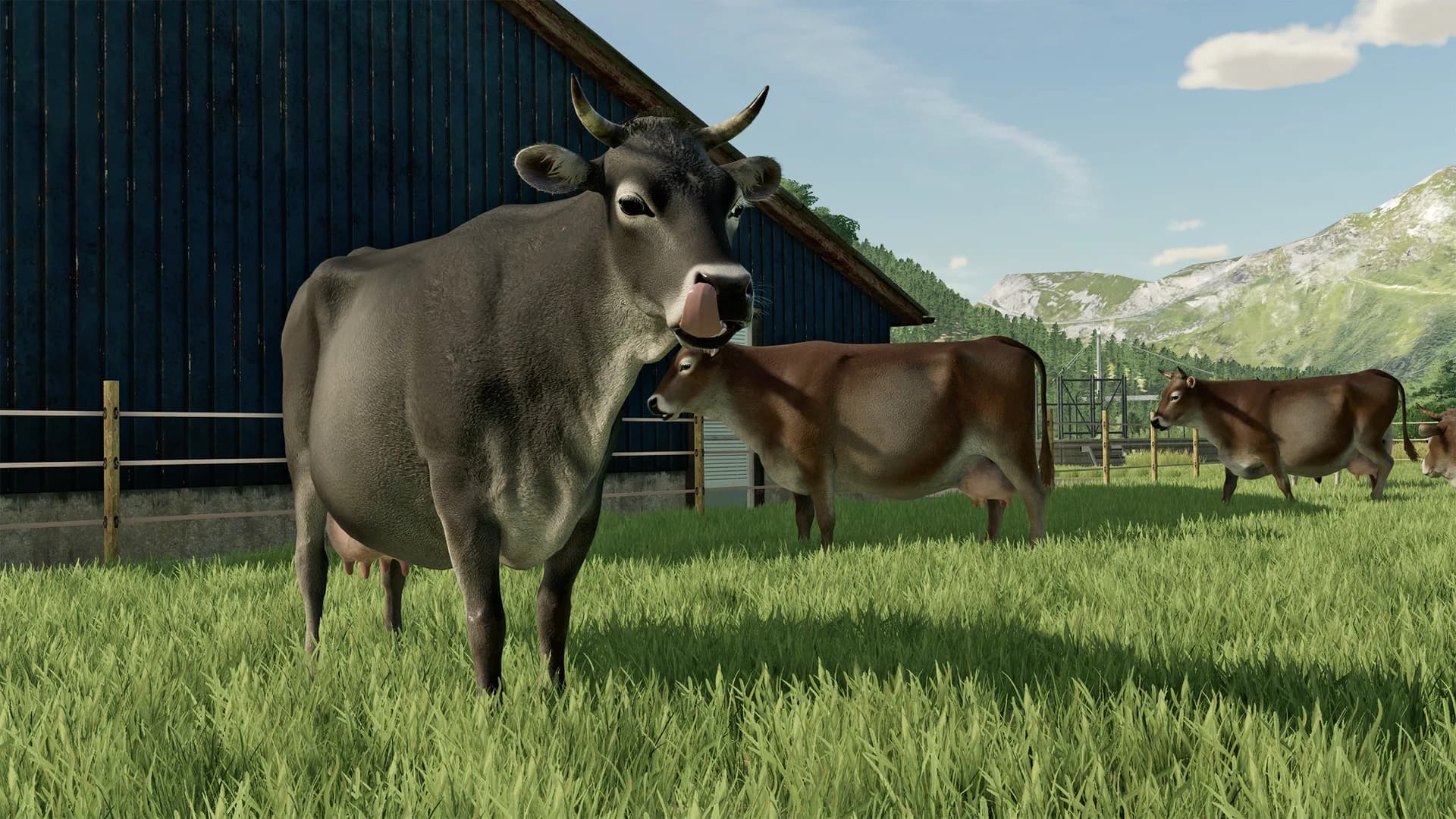 Farming Simulator 22 görsel 13