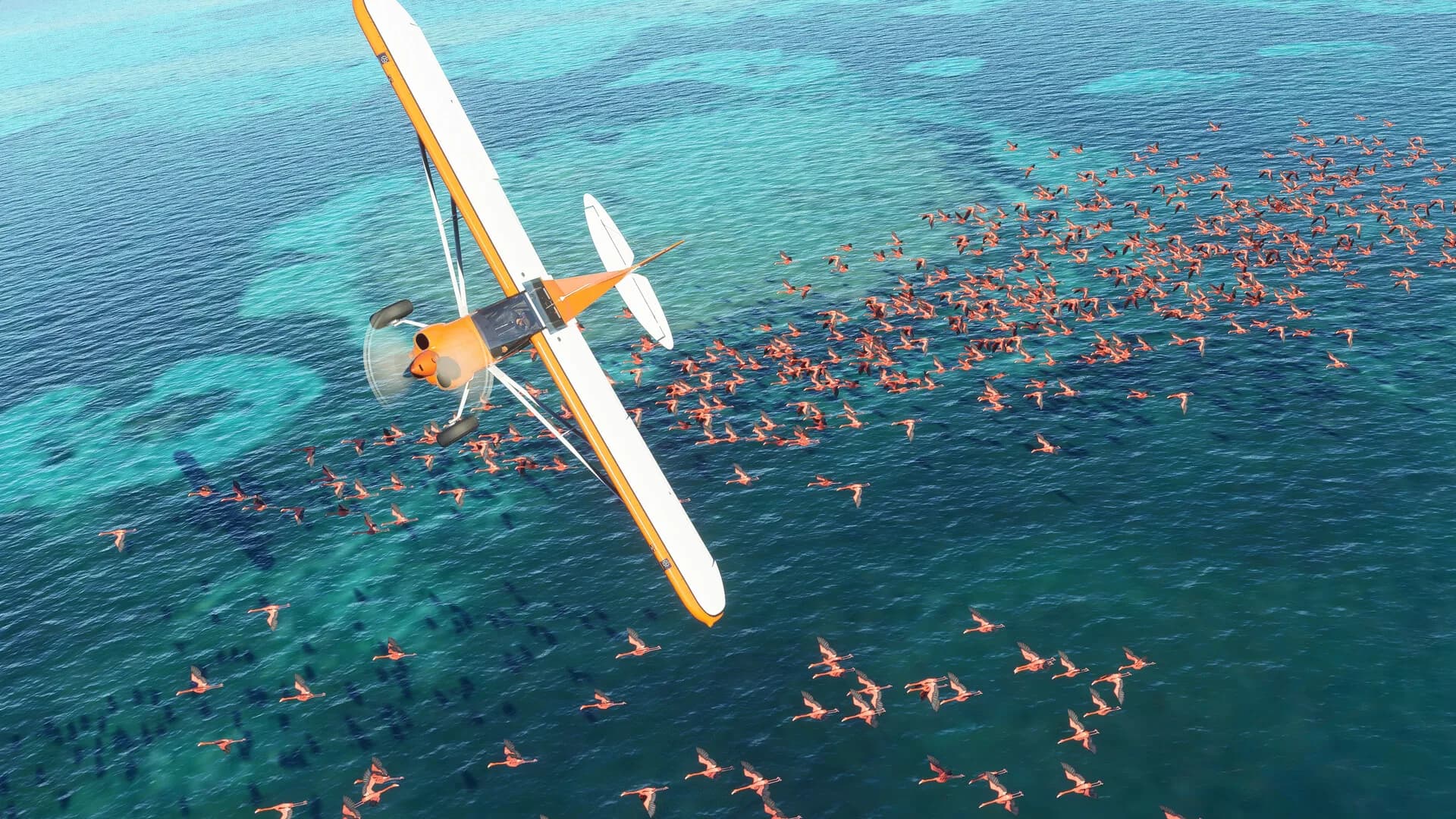 Microsoft Flight Simulator (2020) 40th Anniversary Edition görsel 19