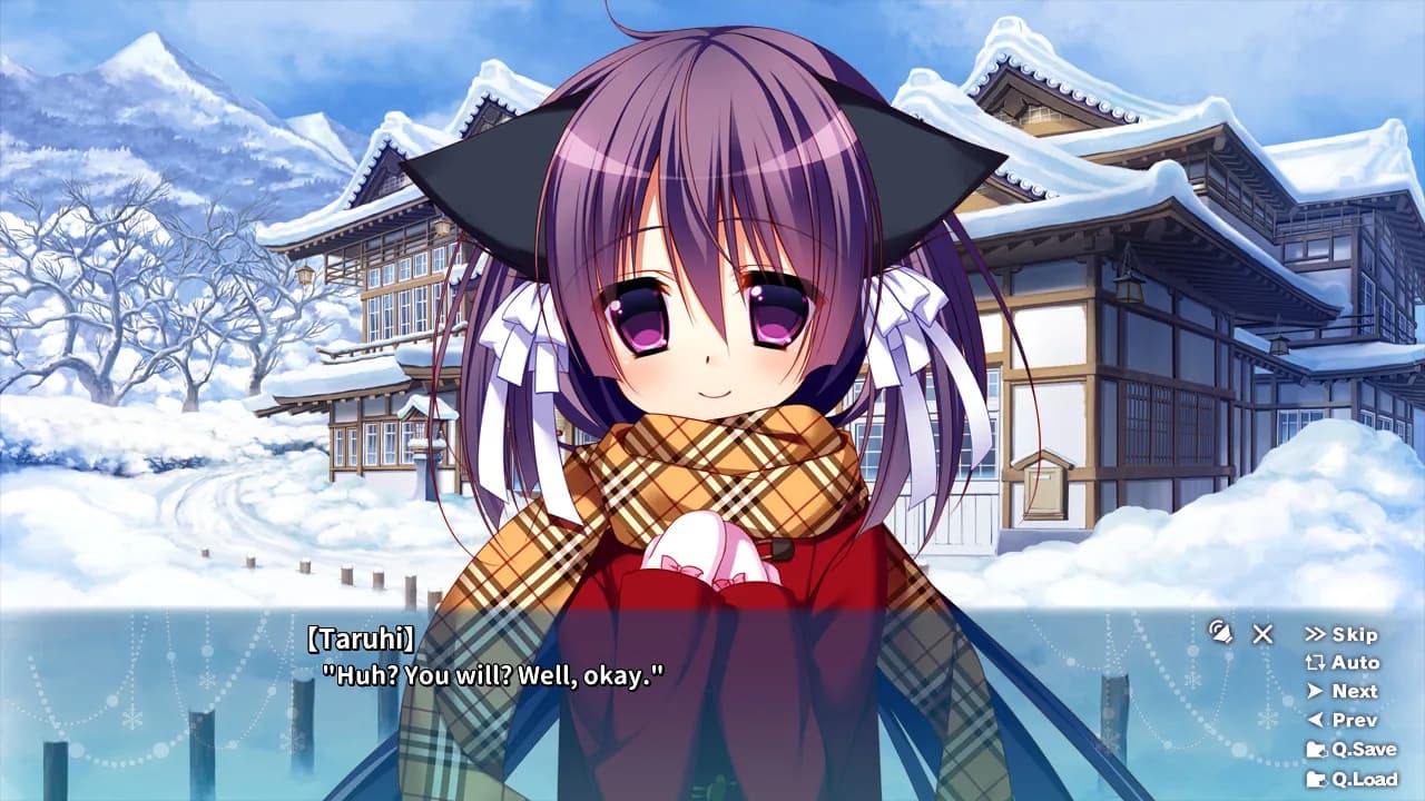 Yukikoi Melt görsel 2