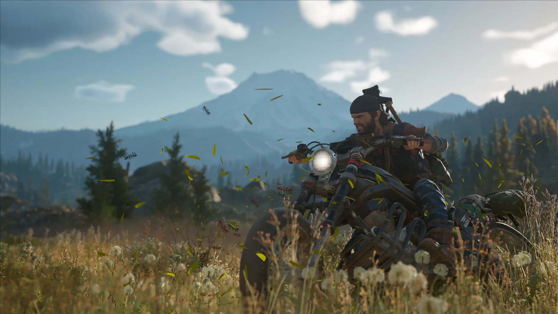 Days Gone görsel 4