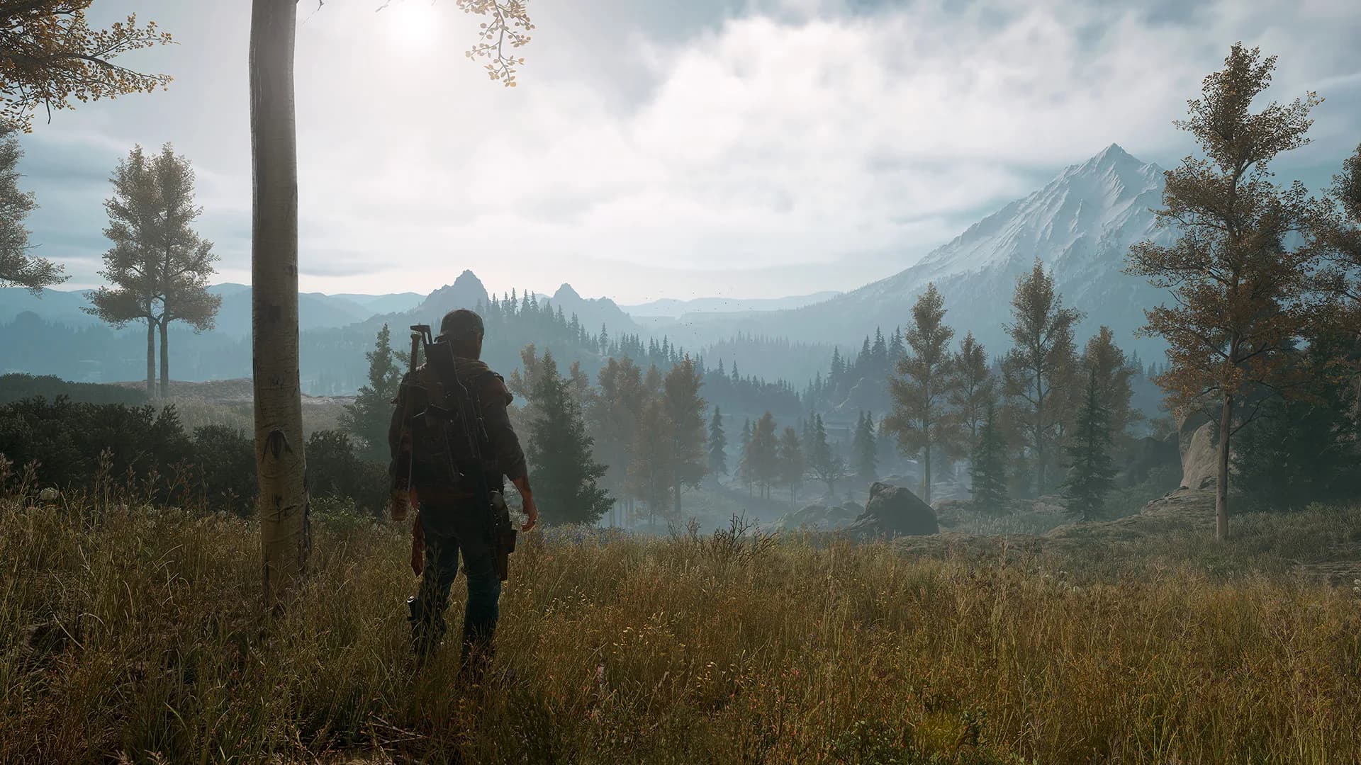 Days Gone görsel 7