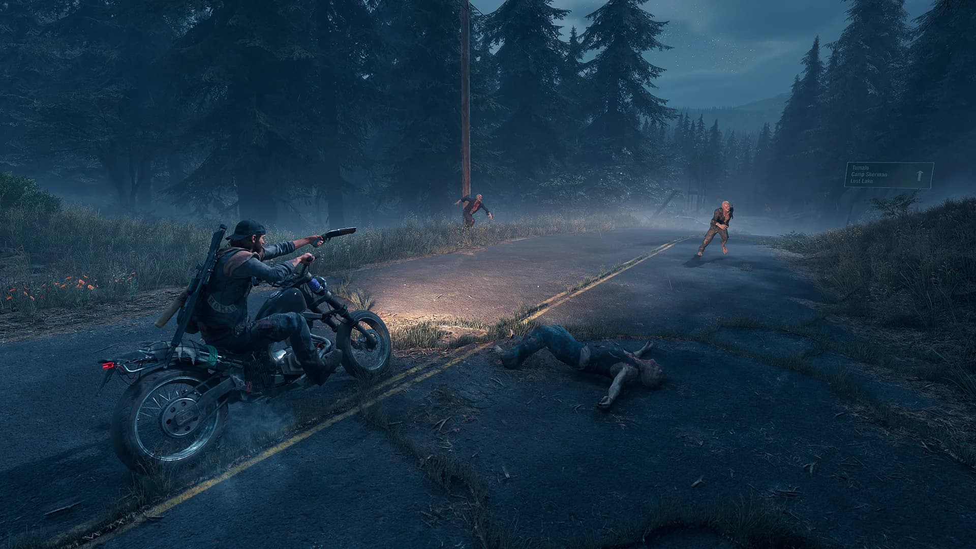 Days Gone görsel 8