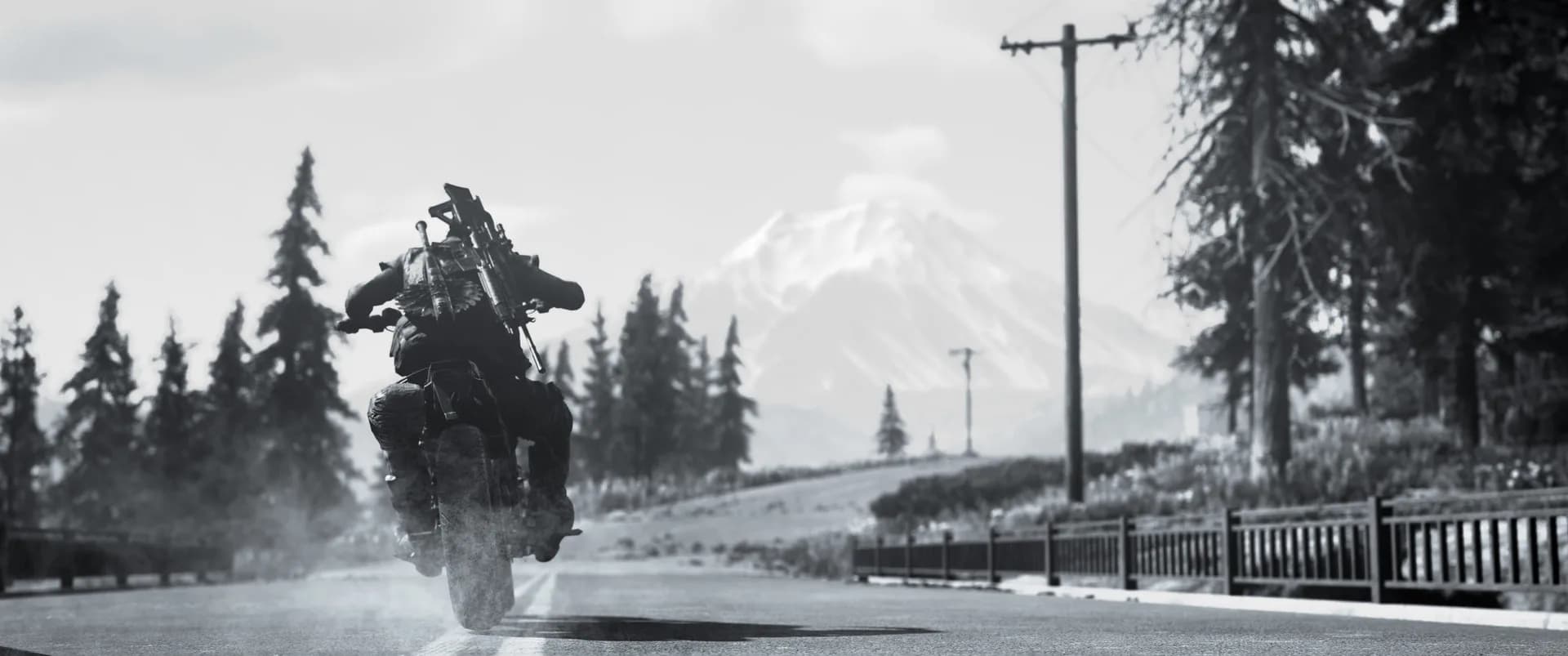 Days Gone görsel 9