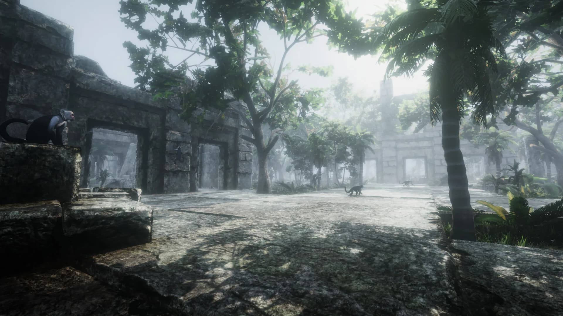 WILDLANDS görsel 2