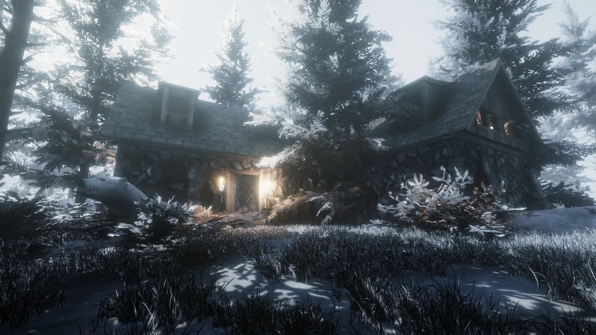 WILDLANDS görsel 13