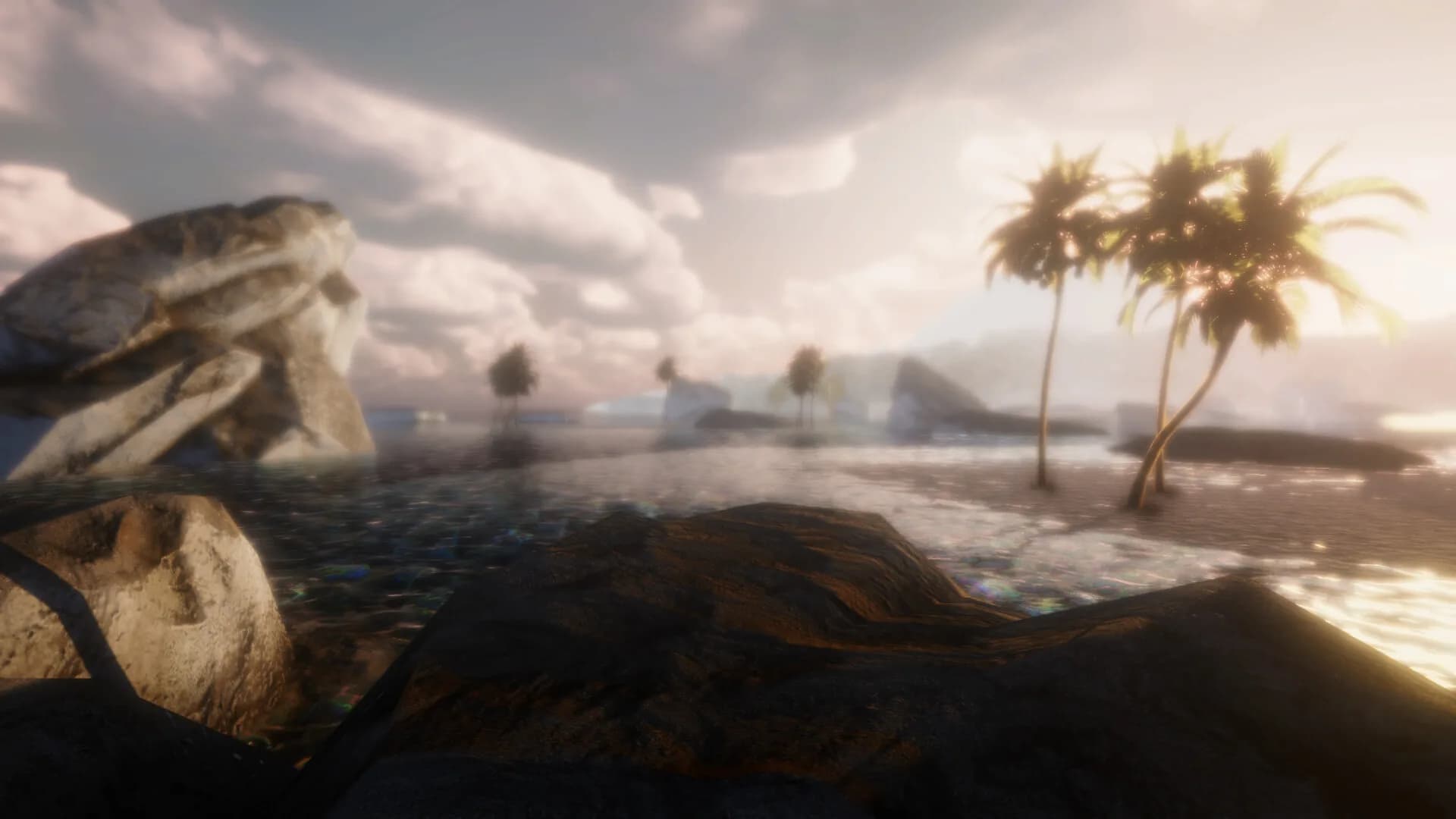 WILDLANDS görsel 6