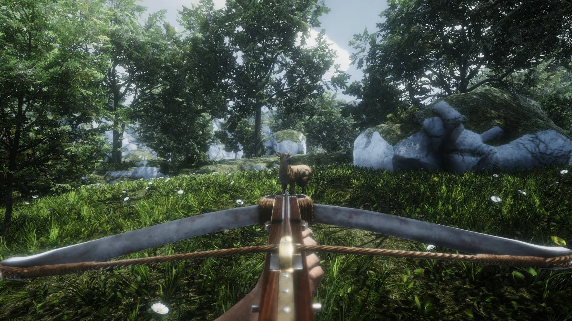 WILDLANDS görsel 7