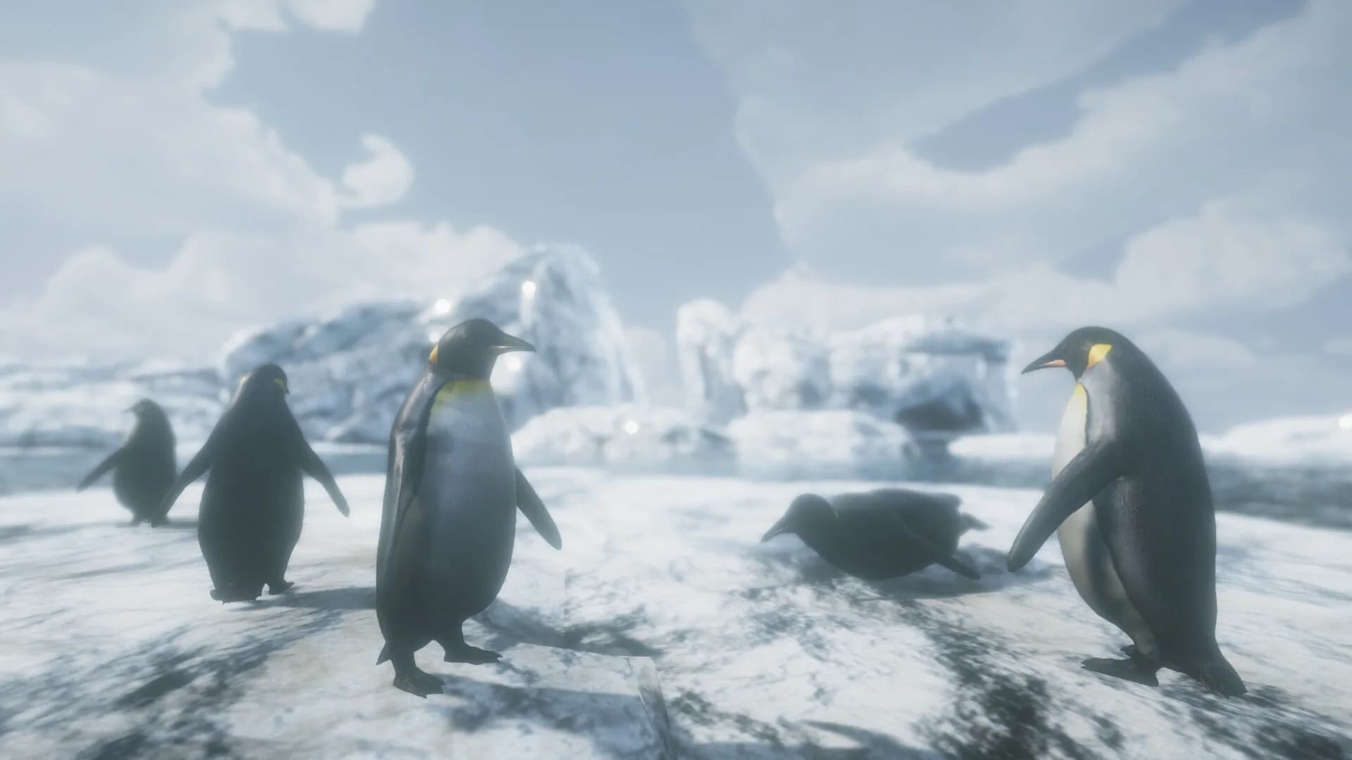 WILDLANDS görsel 10