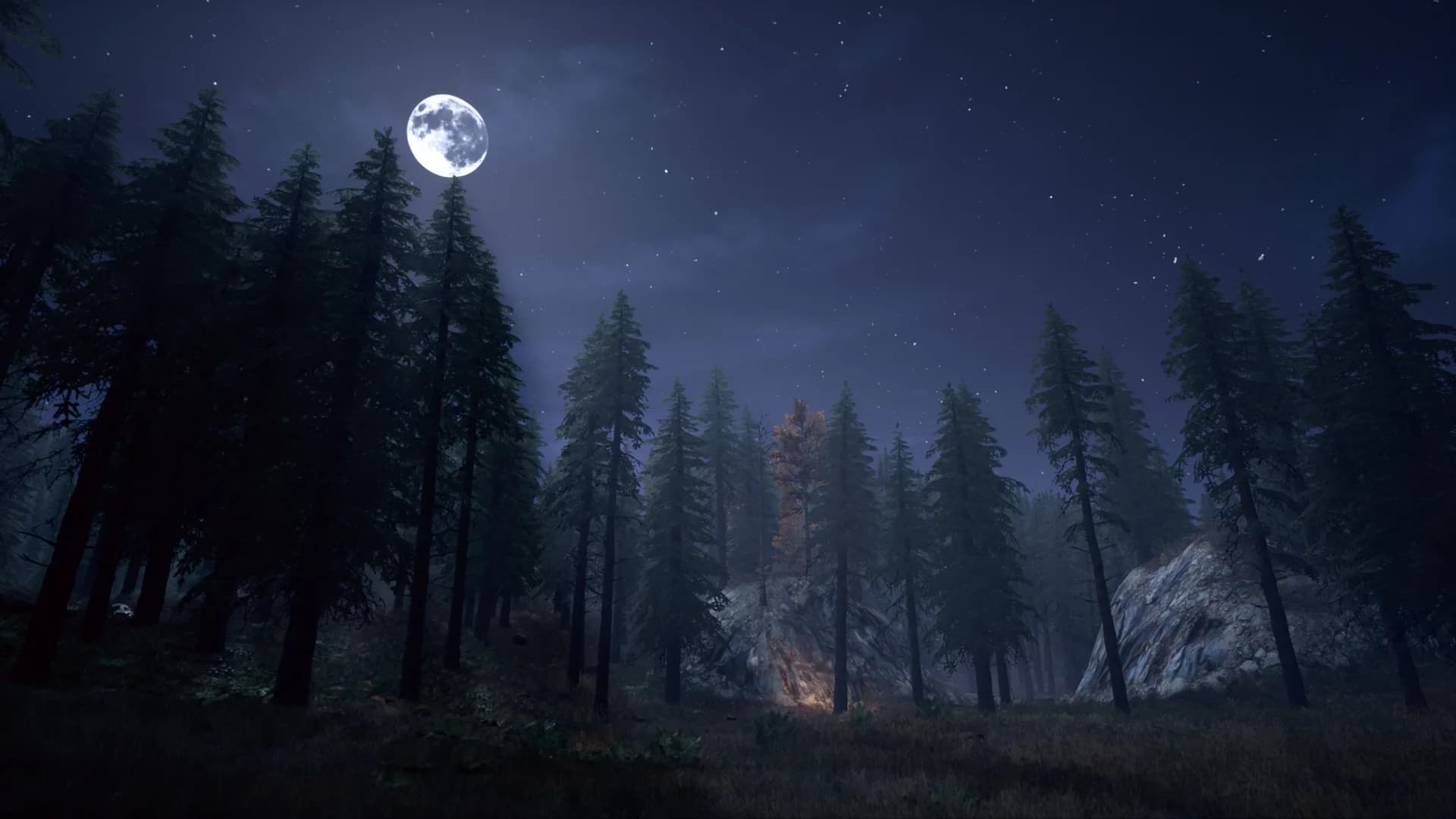 Nightwalker görsel 4