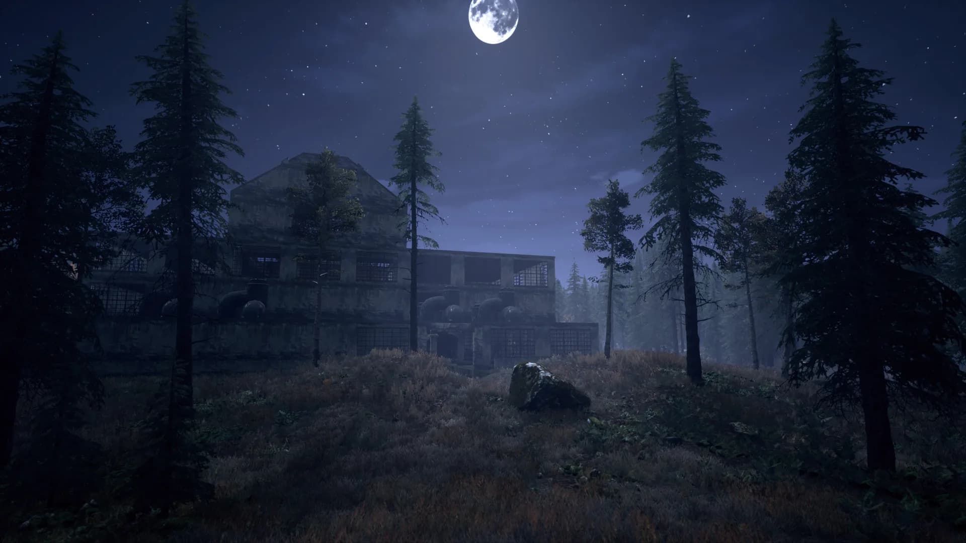 Nightwalker görsel 6
