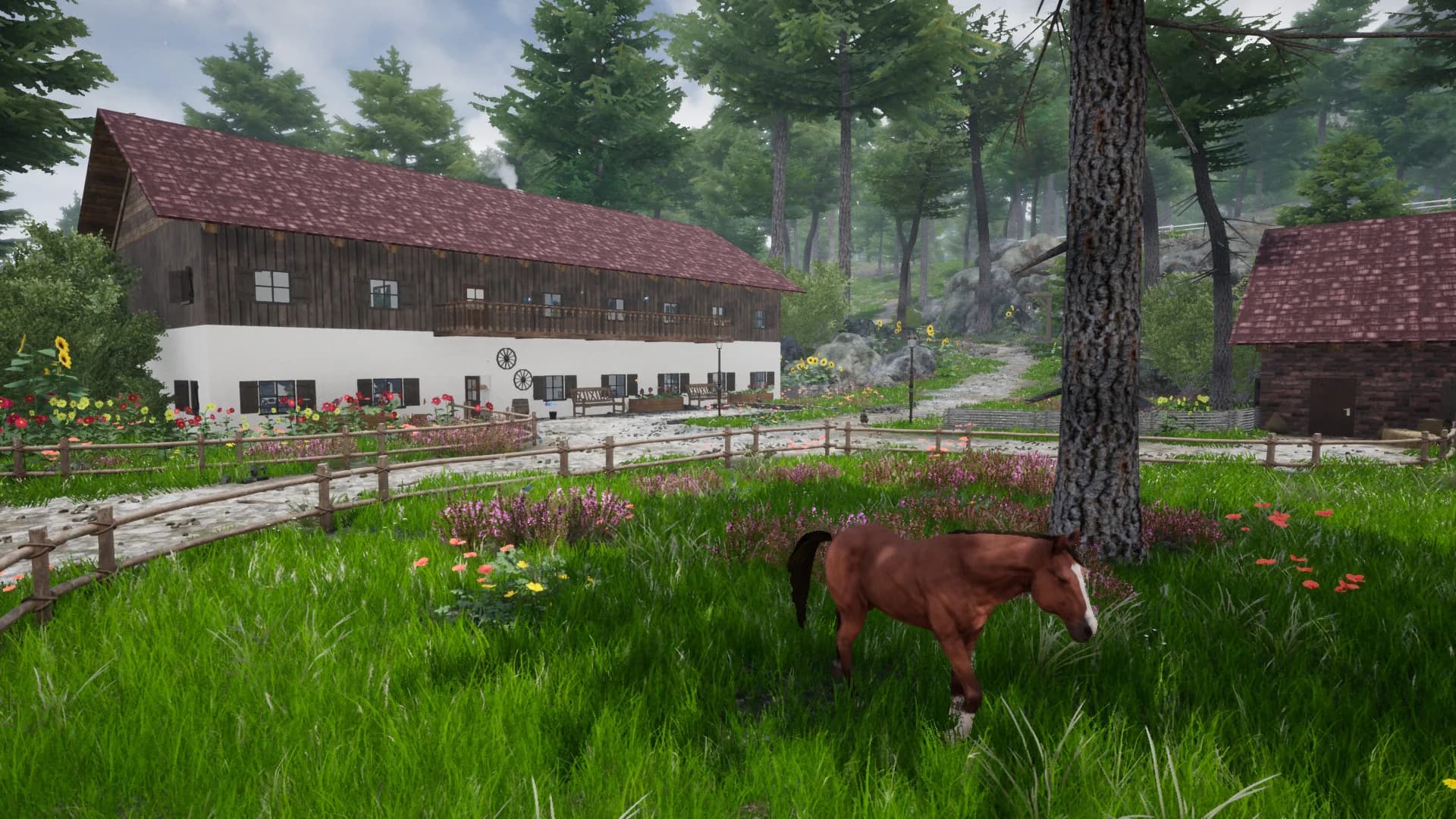 Horse Riding Deluxe 2 görsel 2