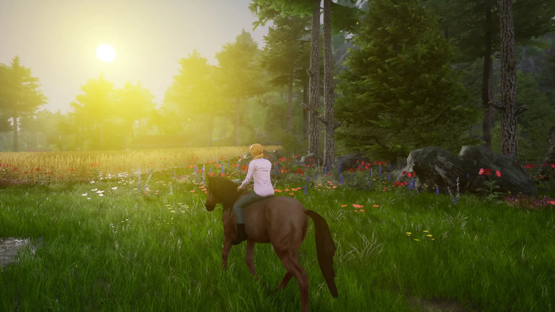 Horse Riding Deluxe 2 görsel 3
