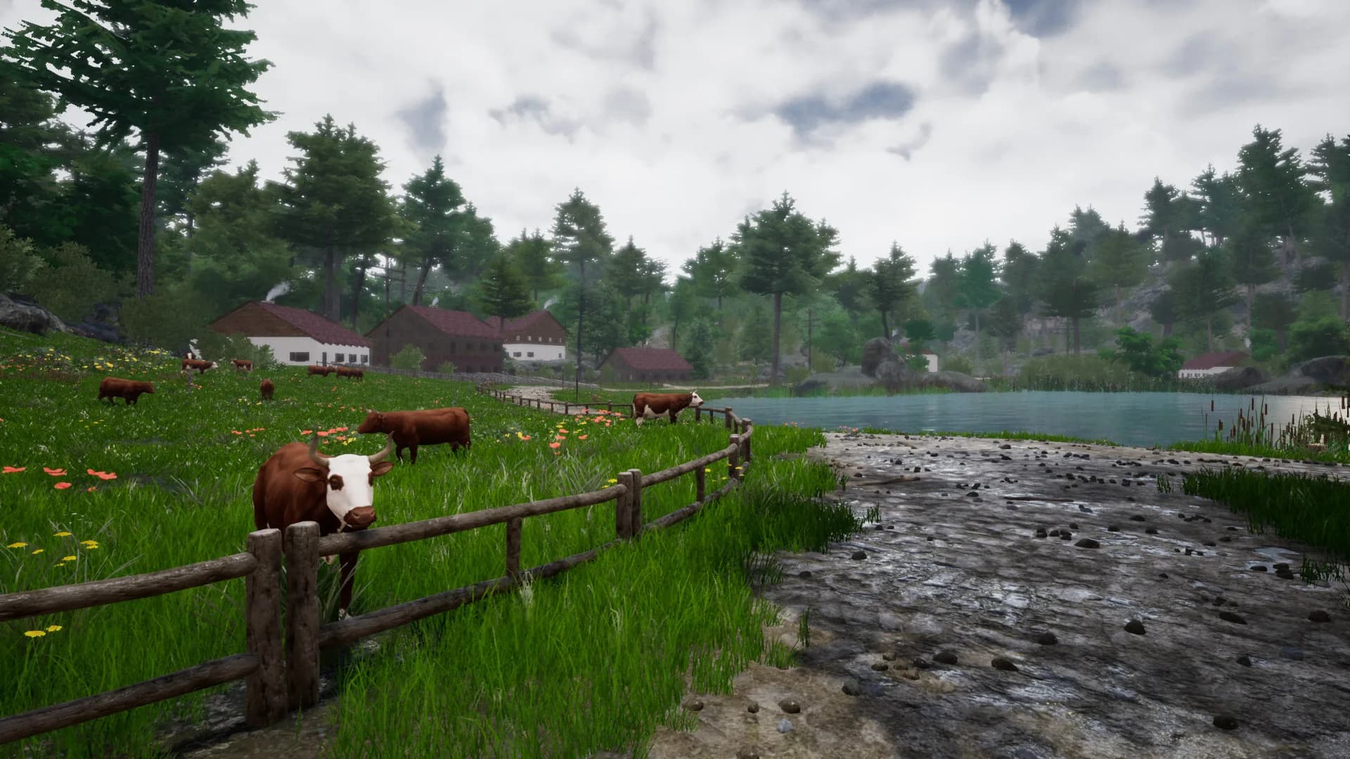Horse Riding Deluxe 2 görsel 13