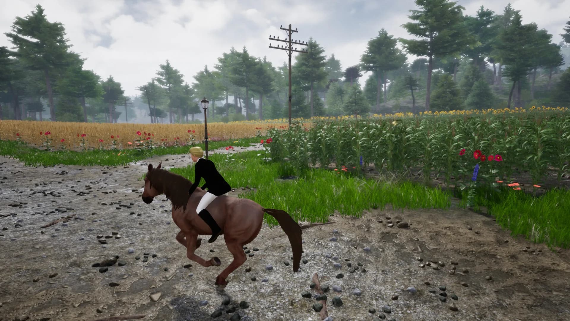 Horse Riding Deluxe 2 görsel 15