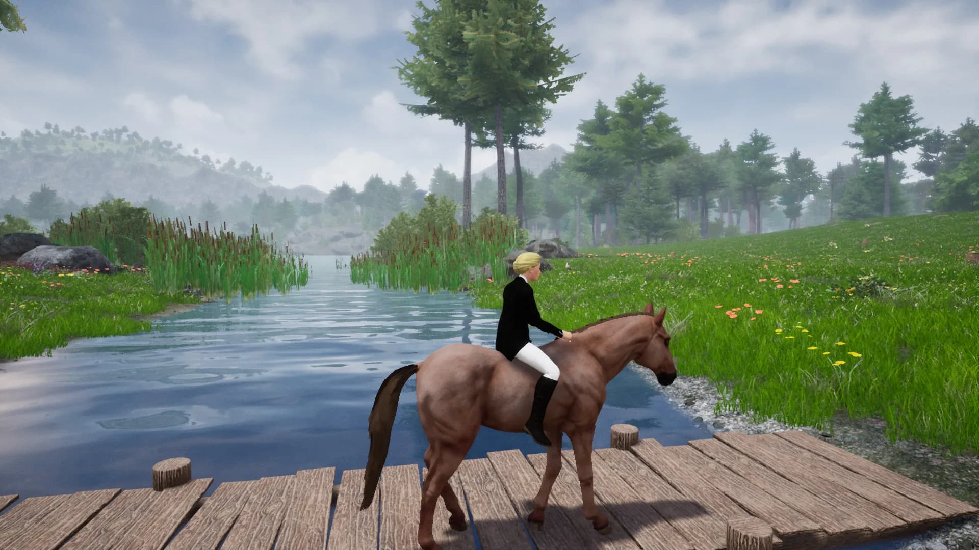 Horse Riding Deluxe 2 görsel 17