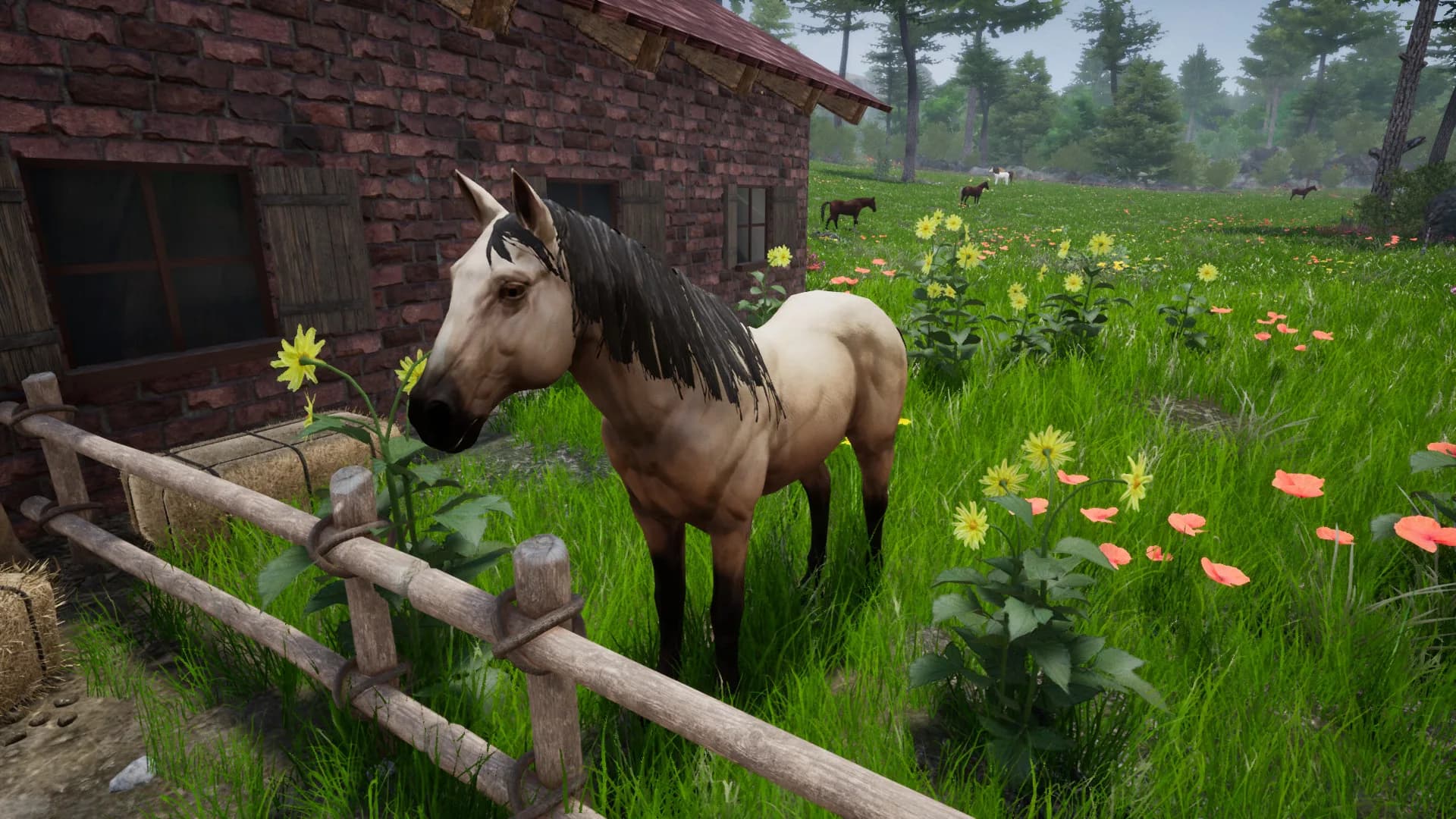 Horse Riding Deluxe 2 görsel 20