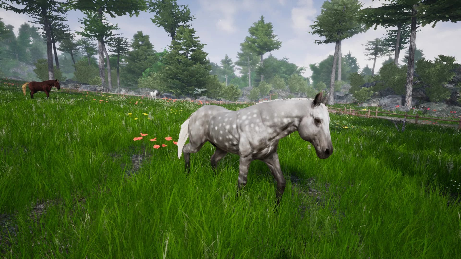 Horse Riding Deluxe 2 görsel 4