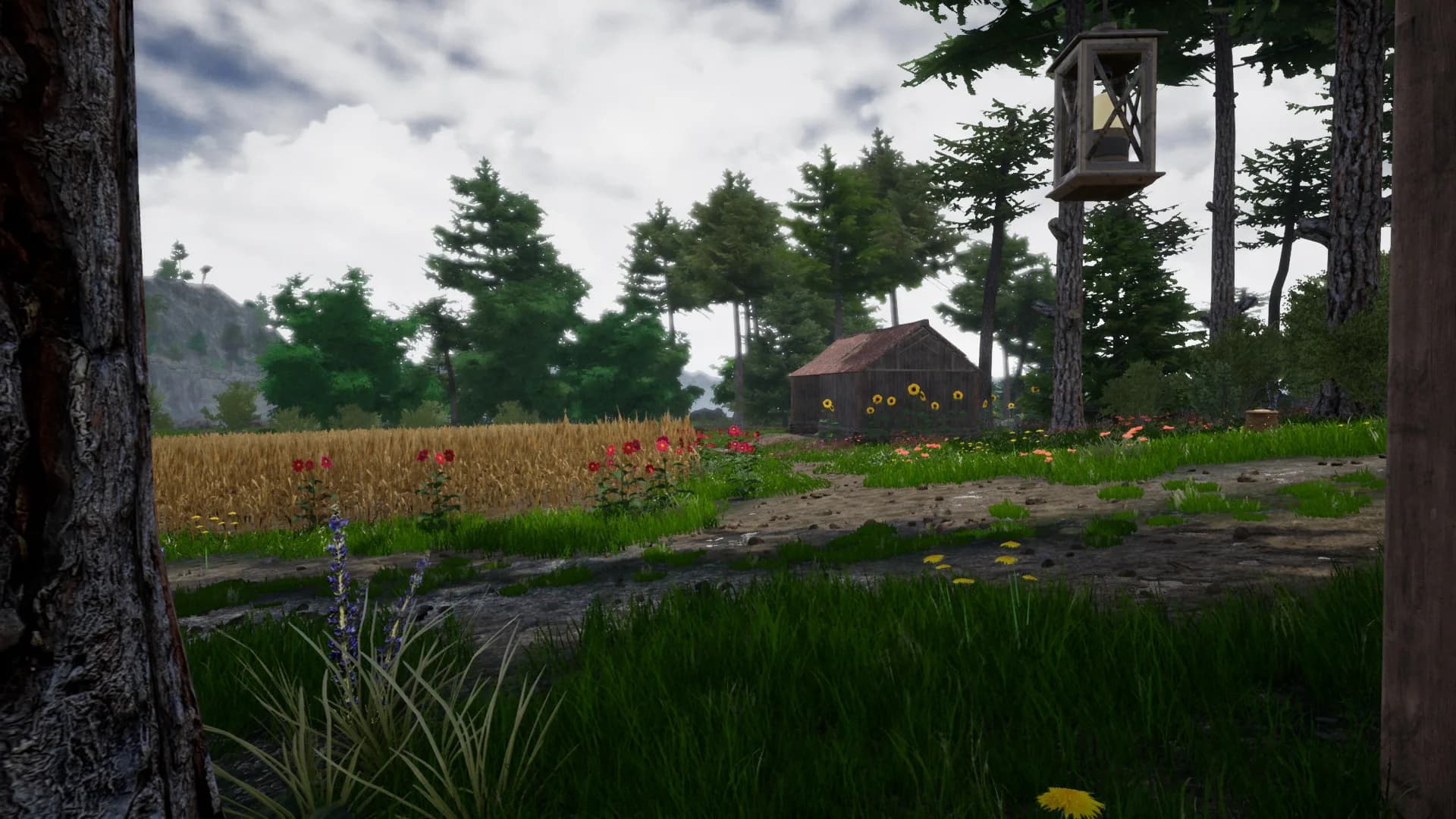 Horse Riding Deluxe 2 görsel 24