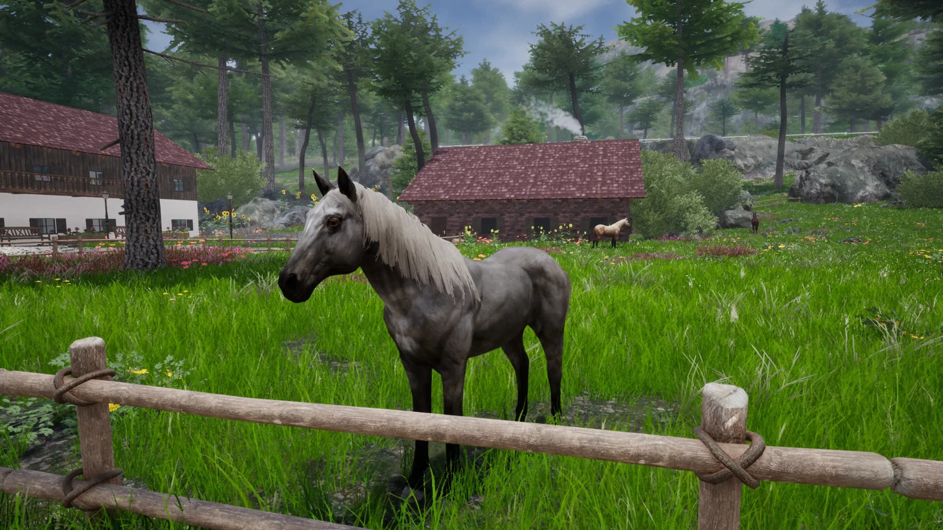 Horse Riding Deluxe 2 görsel 25