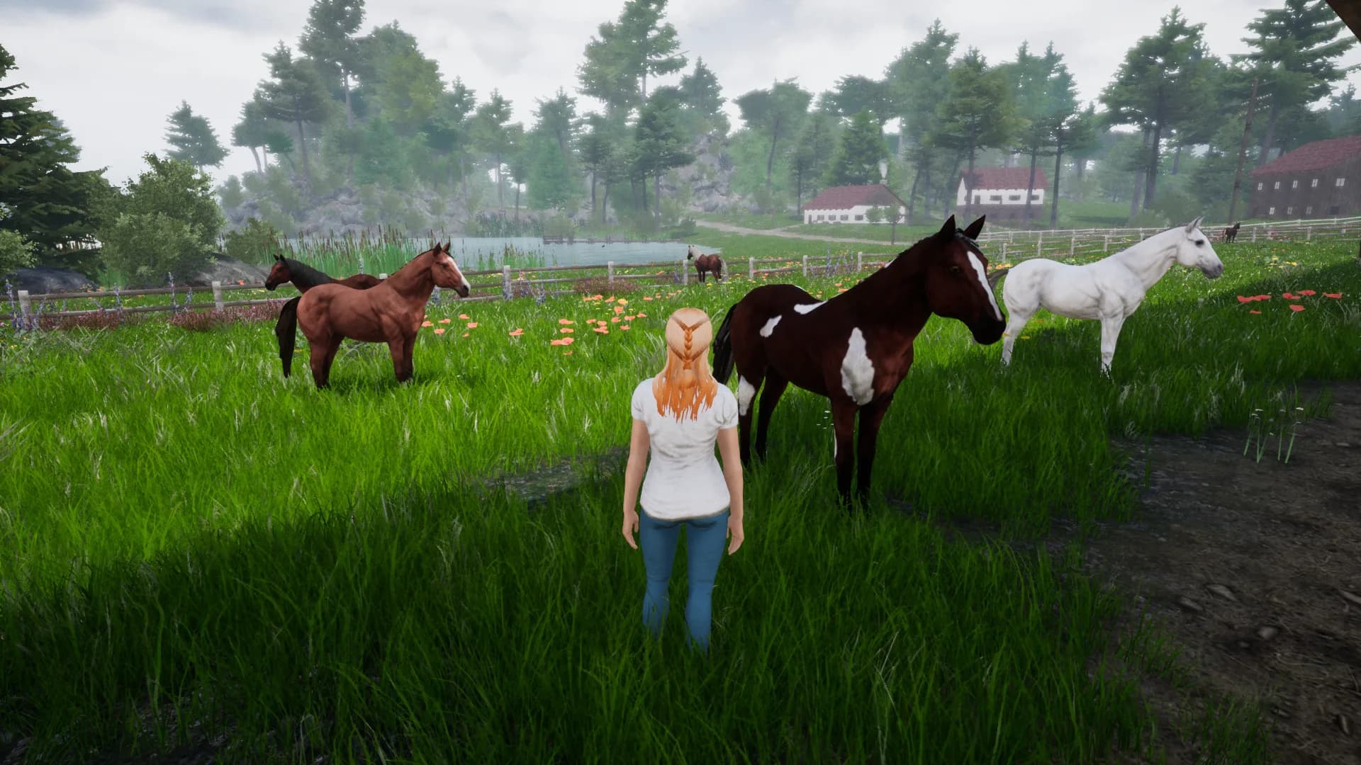 Horse Riding Deluxe 2 görsel 27